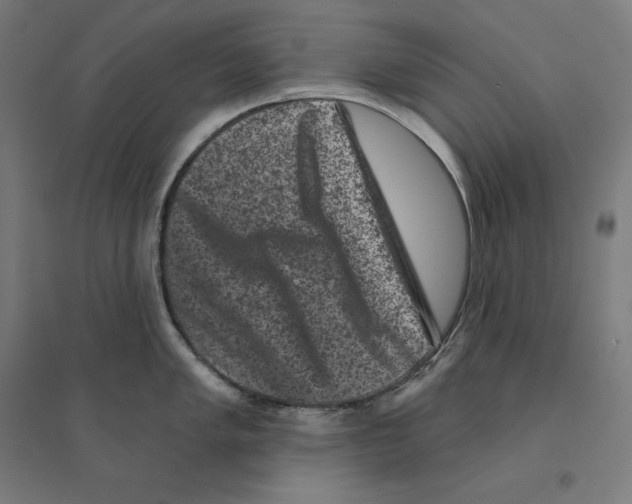 X0000094441005200712061133