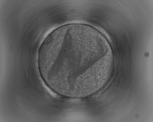 X0000094441006200712061133