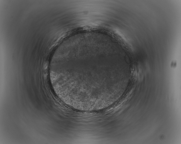 X0000094441012200712061132