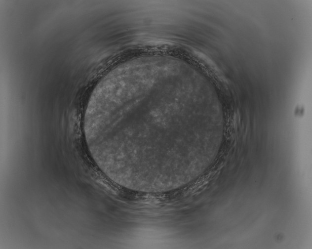 X0000094441013200712061132