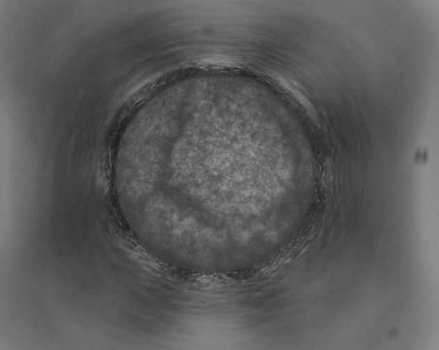 X0000094441015200712061132