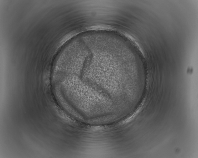 X0000094441017200712061132