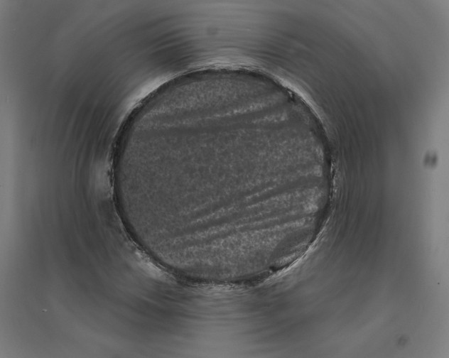 X0000094441018200712061132