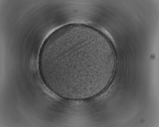 X0000094441020200712061132