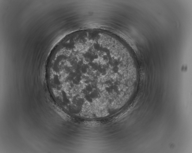 X0000094441023200712061133