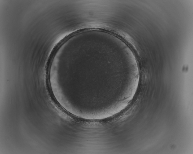 X0000094441024200712061133