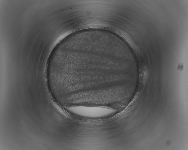 X0000094441026200712061133