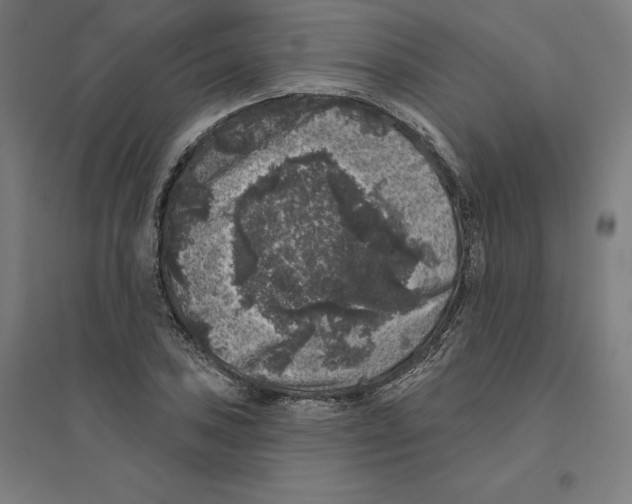 X0000094441027200712061133