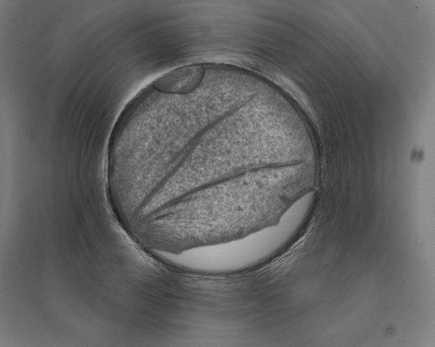 X0000094441028200712061133