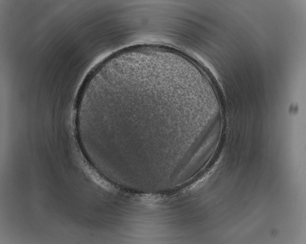 X0000094441029200712061133