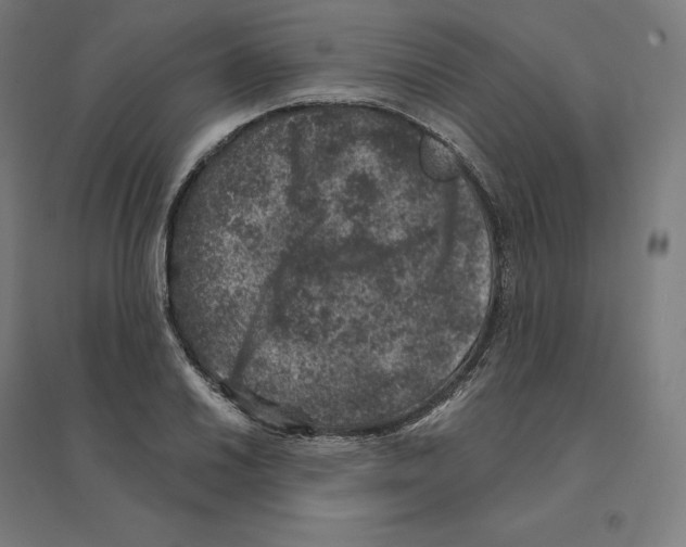 X0000094441030200712061133