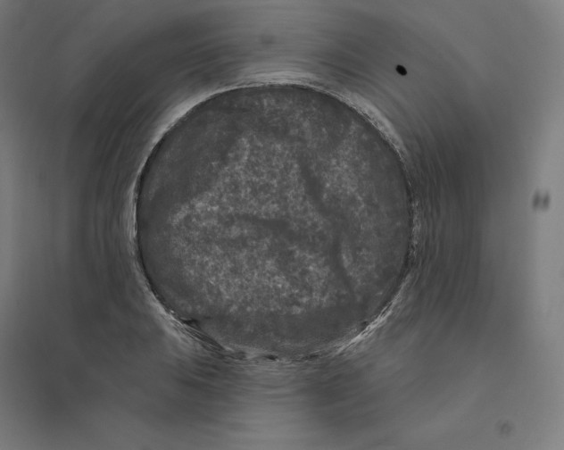 X0000094441031200712061133