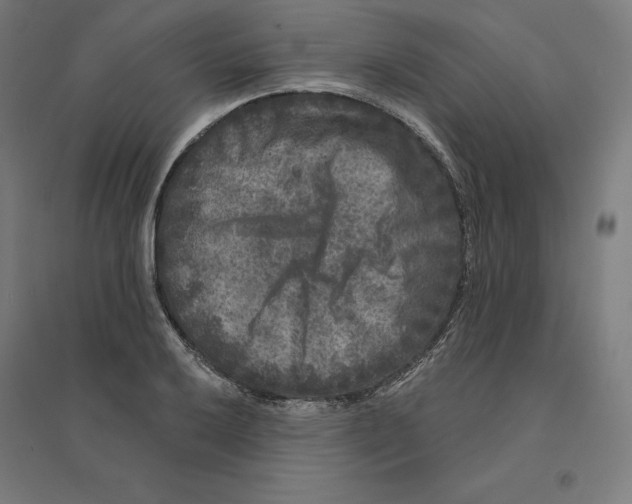 X0000094441032200712061133