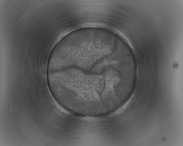 X0000094441033200712061133