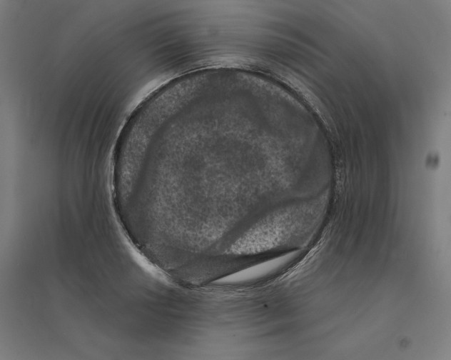 X0000094441034200712061133