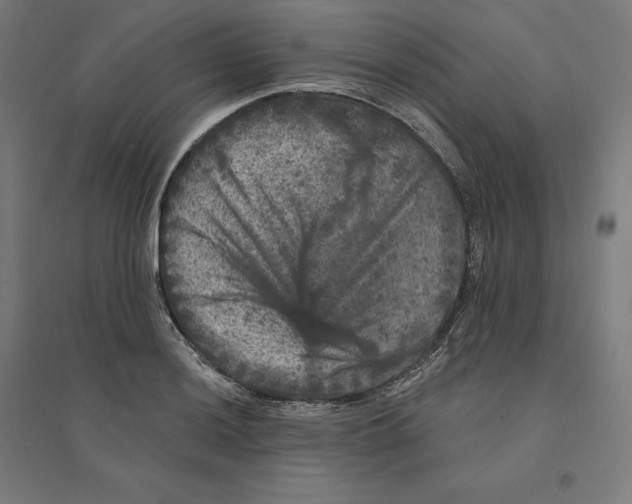 X0000094441036200712061133