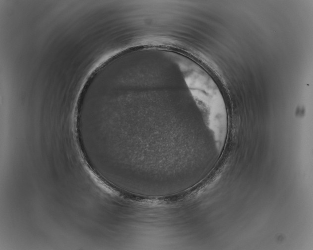 X0000094441037200712061133