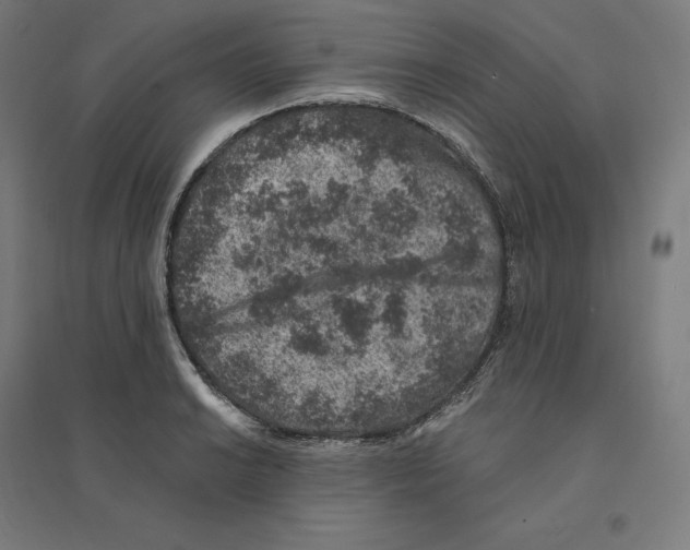 X0000094441038200712061133