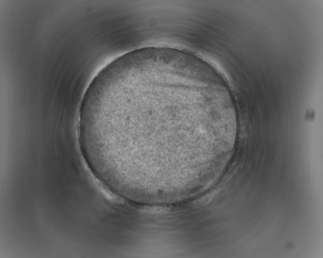 X0000094441040200712061133