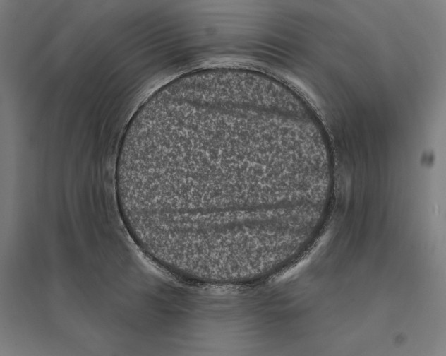 X0000094441041200712061133