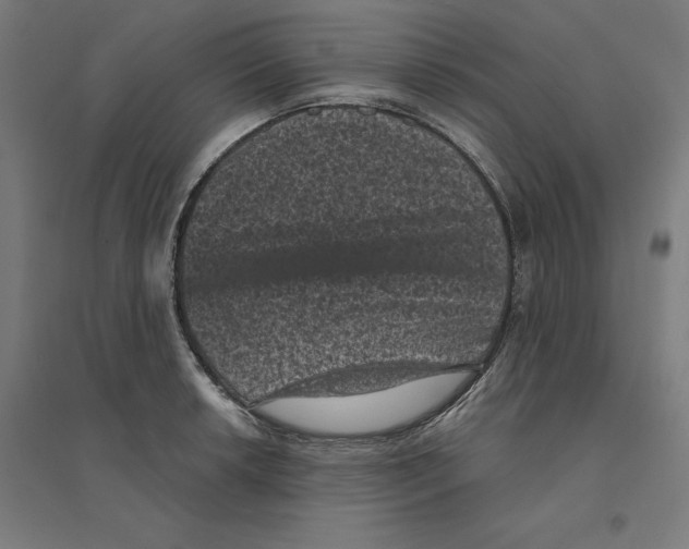 X0000094441042200712061133