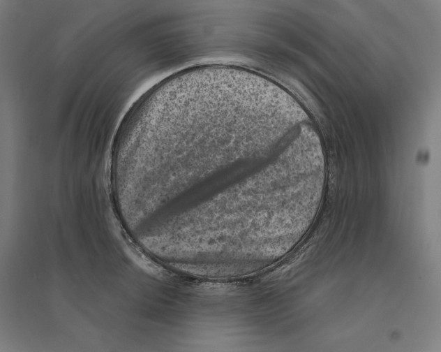 X0000094441044200712061133