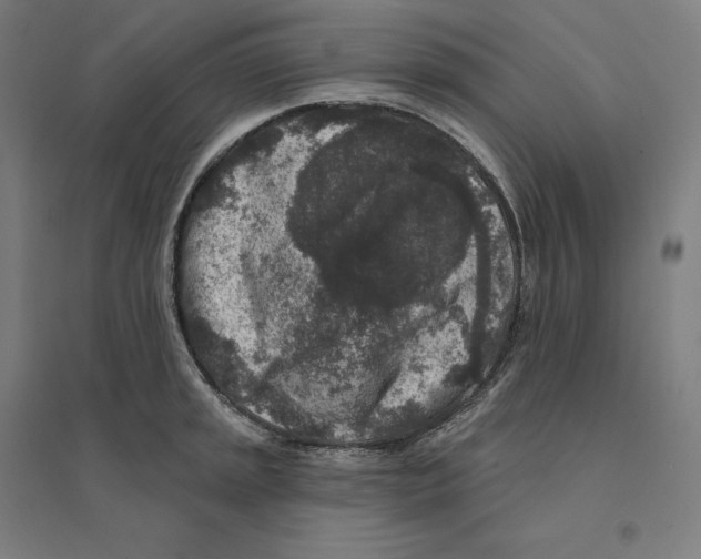 X0000094441045200712061133