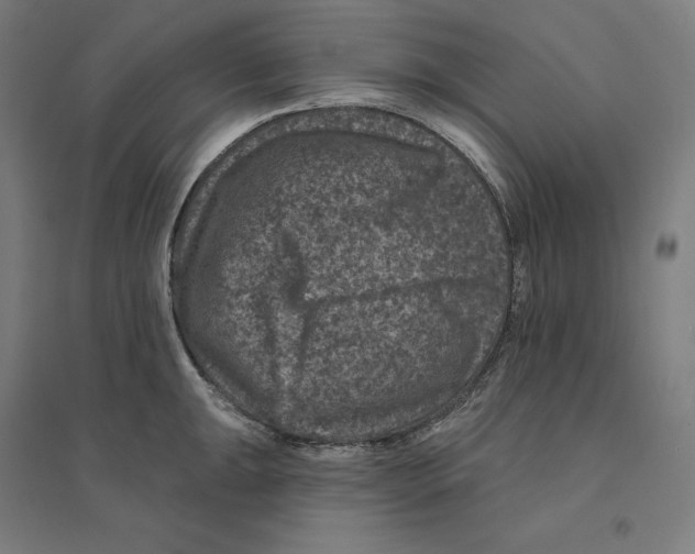 X0000094441047200712061133