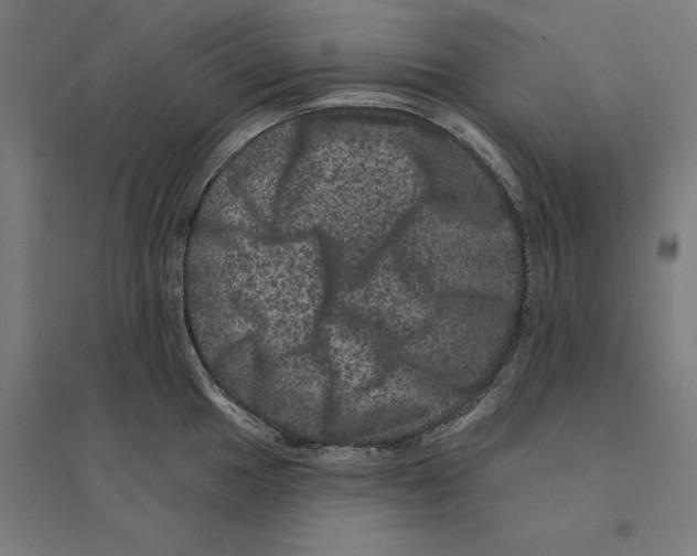 X0000094441049200712061133