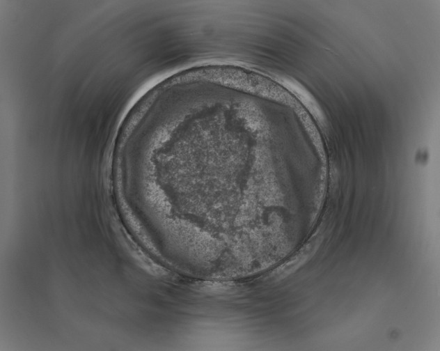 X0000094441052200712061133