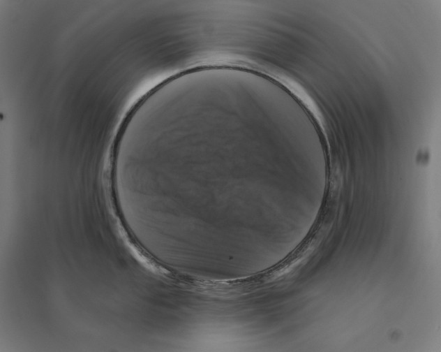 X0000094441053200712061133