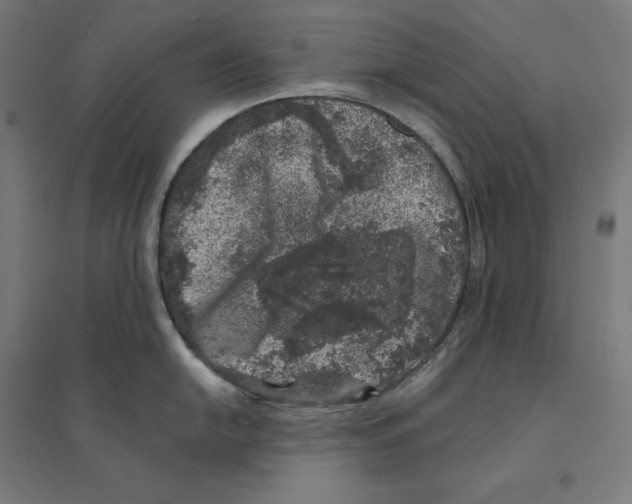 X0000094441054200712061133