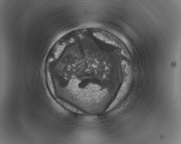 X0000094441055200712061133