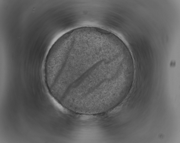 X0000094441056200712061133