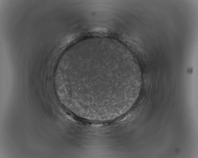 X0000094441057200712061132