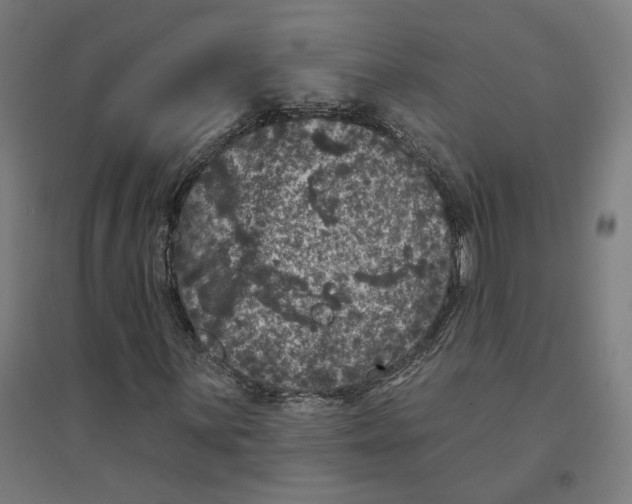 X0000094441059200712061132