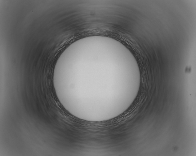 X0000094441060200712061132