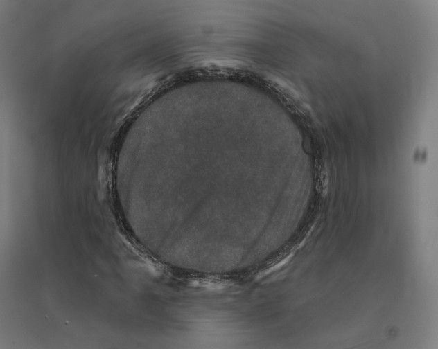 X0000094441061200712061132