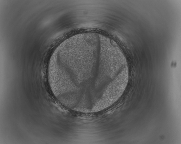 X0000094441062200712061132