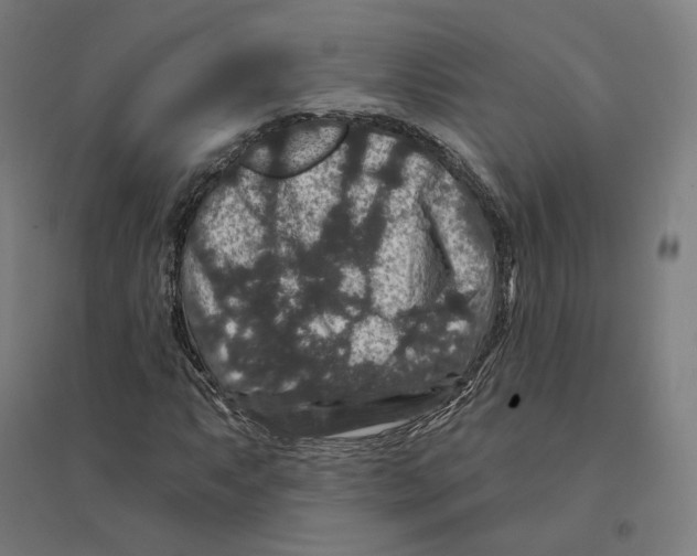 X0000094441063200712061132