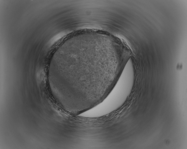 X0000094441064200712061132