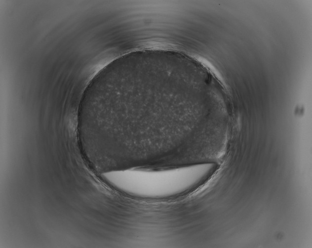 X0000094441065200712061132