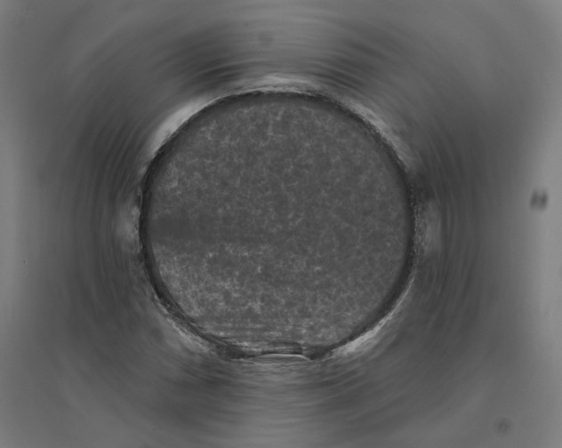 X0000094441066200712061132