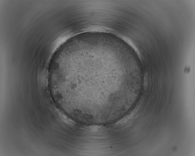 X0000094441067200712061132