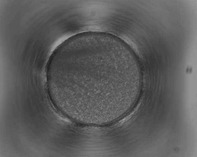 X0000094441070200712061132