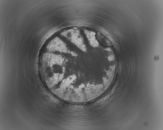 X0000094441071200712061132