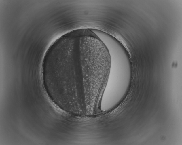 X0000094441072200712061132