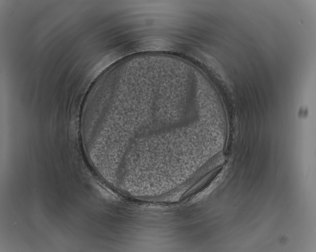 X0000094441073200712061132