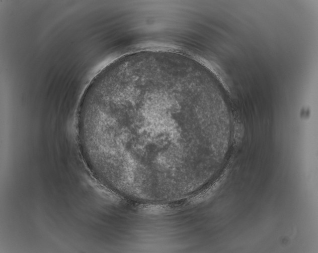 X0000094441074200712061132