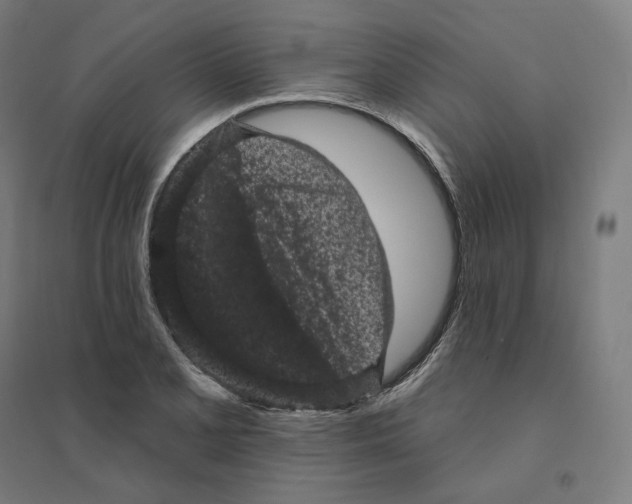 X0000094441077200712061132